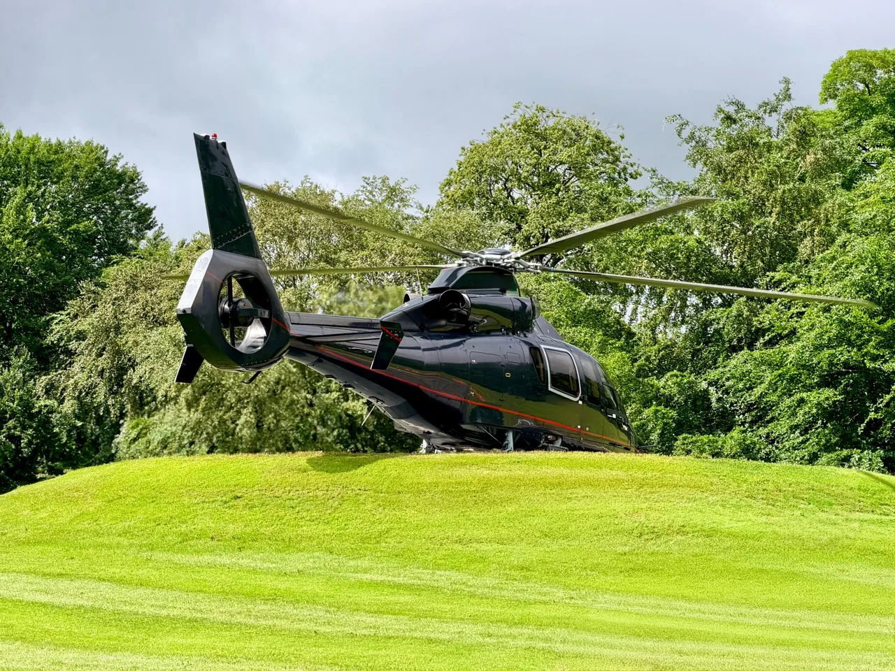 Helicopter on a lawn surrounded by trees
